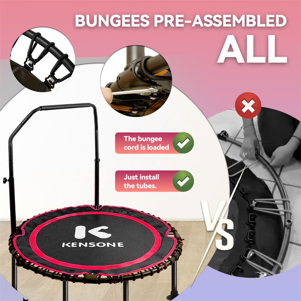 Fun family activity with a bungee trampoline for all ages.